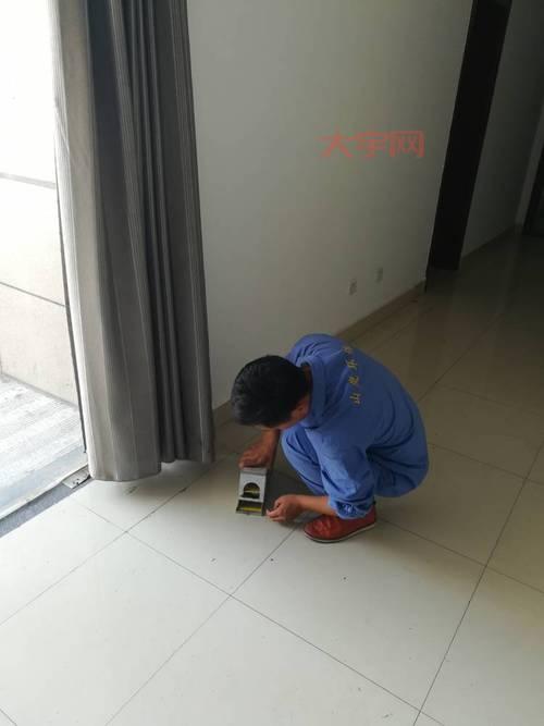 郑州杀虫公司哪家好?专业灭虫,高效除害!