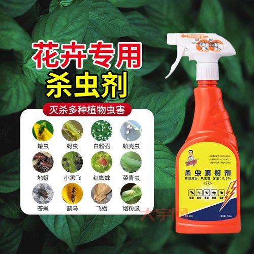 郑州杀虫公司哪家好?专业灭虫,高效除害!