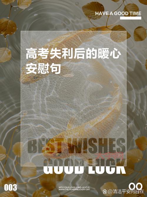 高考失利并不等于失败,人生还有无限可能