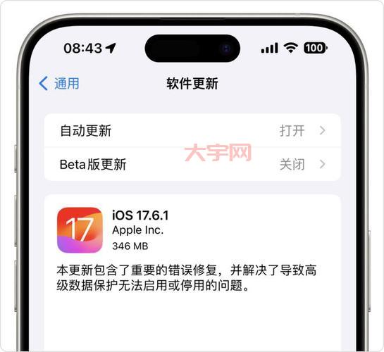 目前的iOS版本更新:iOS 18.1.1与未来iOS 19展望