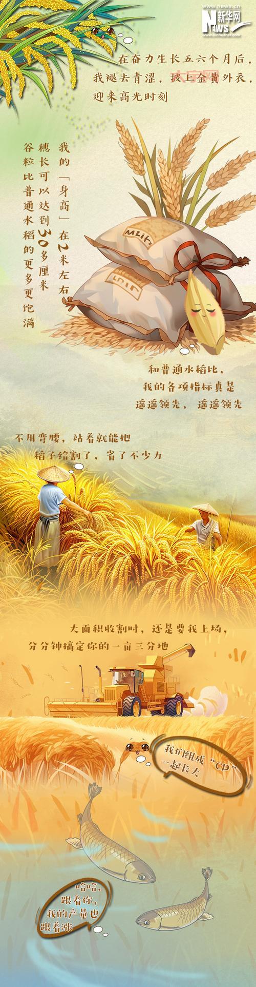 袁爷爷的一生:从北京小伙到“杂交水稻之父”的传奇故事