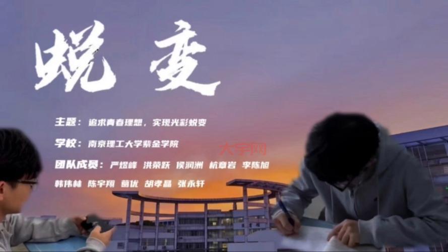 张晓琦的传奇人生,从平凡到不凡的蜕变之路