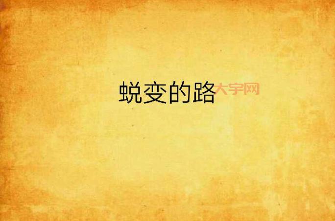 张晓琦的传奇人生,从平凡到不凡的蜕变之路