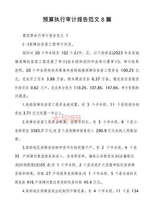 预算执行审计报告重要吗?这篇文章告诉你答案!