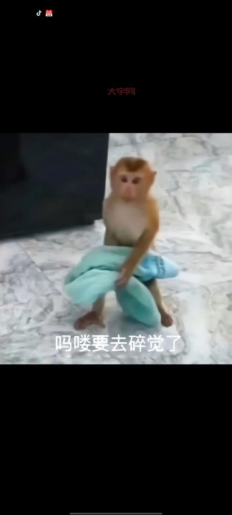 抖音胖乐睡觉太可爱了!网友直呼受不了啦!
