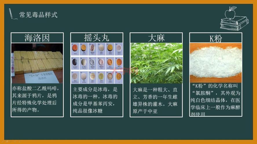 老鼠 pis 的危害有哪些?这几点一定要知道!
