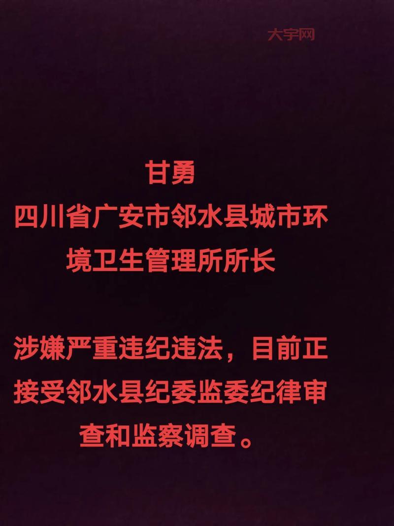 邻水新闻哪里找?这几个地方让你消息灵通!