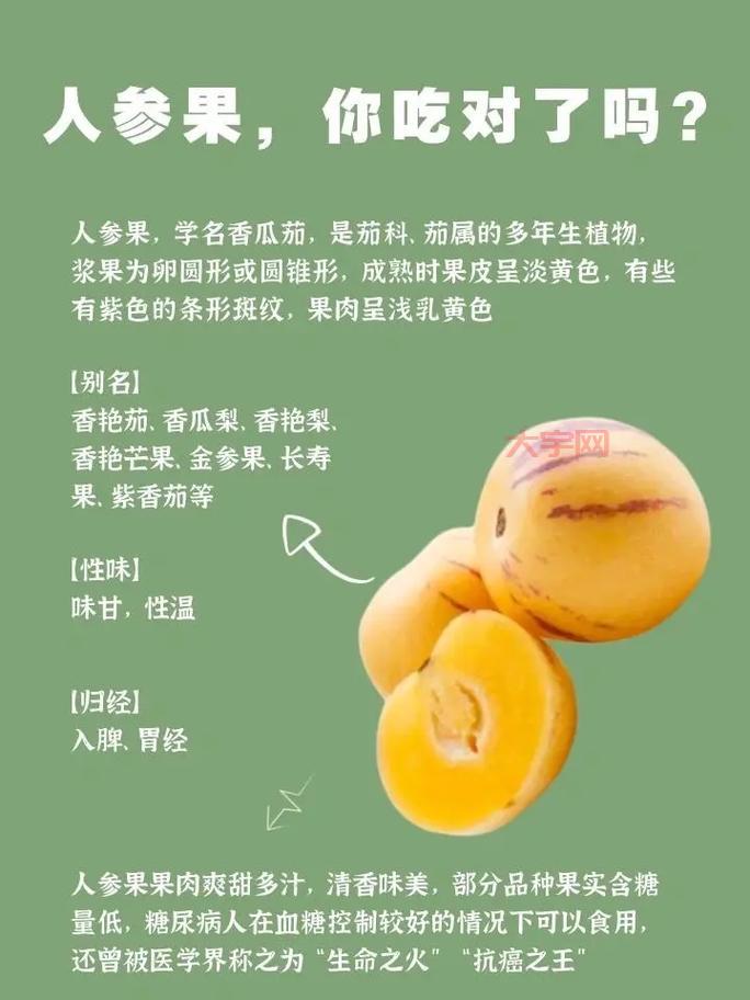 超级人参果属性详解,看完这篇你就全明白了!