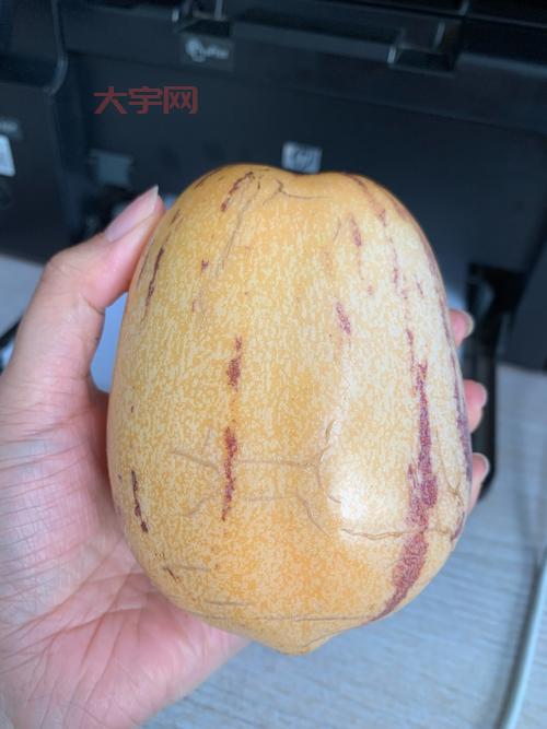 超级人参果属性详解,看完这篇你就全明白了!