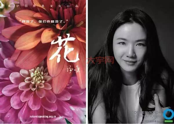 杨家后宅冬儿完整版资源,这几个平台可以免费看!