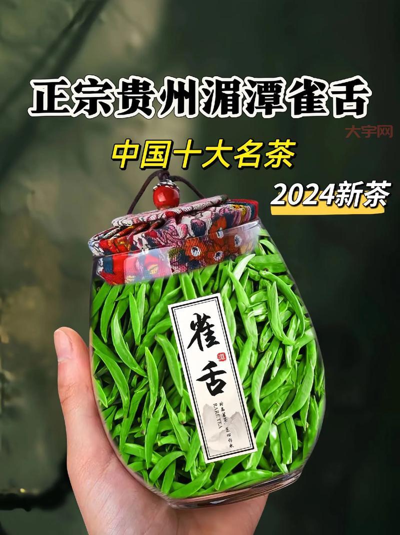 添炉烹雀舌属于什么茶?新手入门必看小知识!