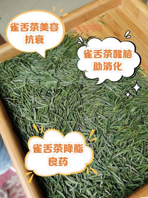 添炉烹雀舌属于什么茶?新手入门必看小知识!