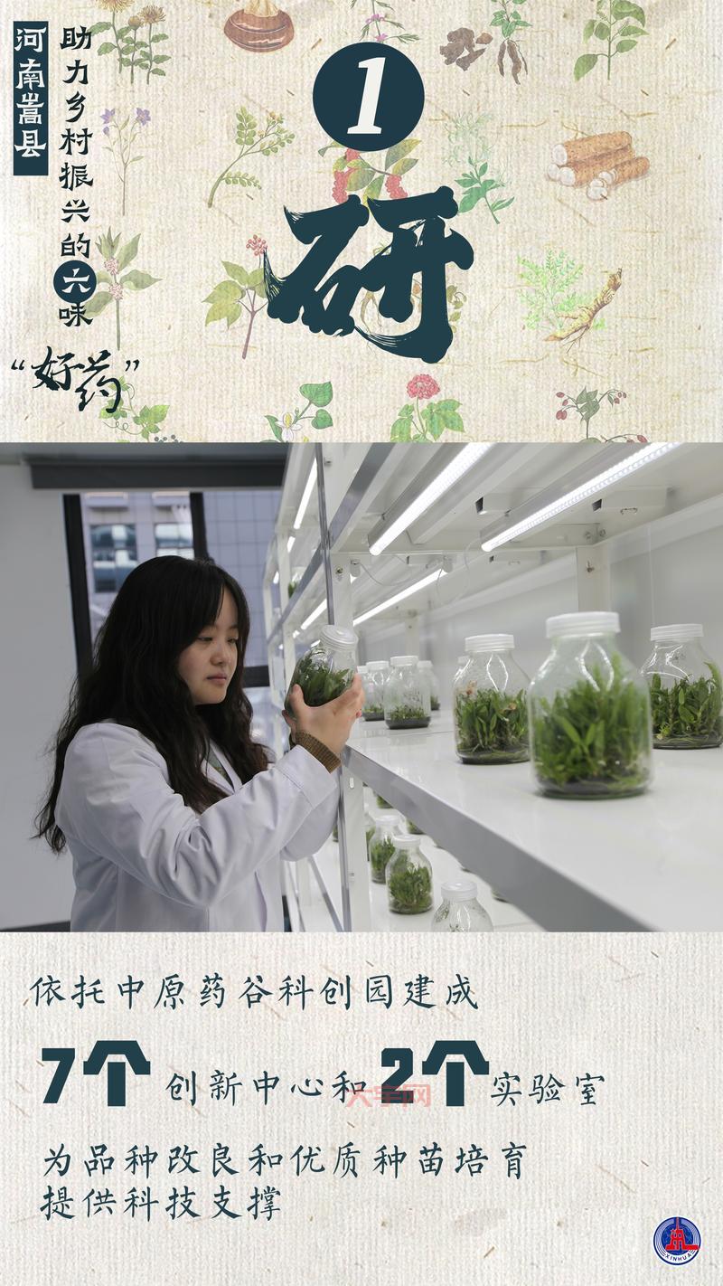 什么影响了你的采药收益?这几个关键因素必须知道!