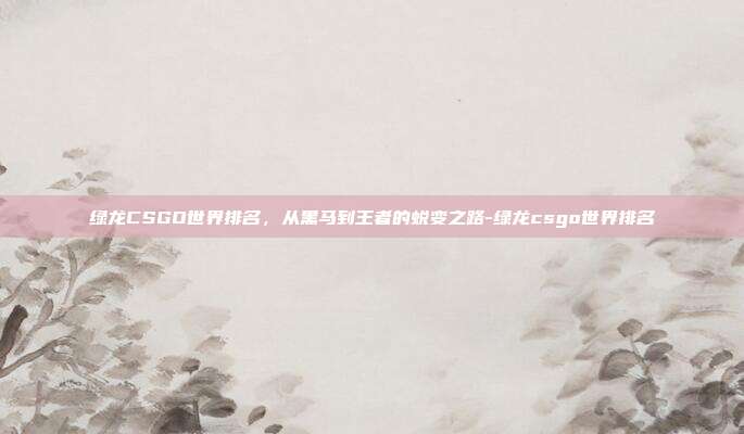 绿龙CSGO世界排名,从黑马到王者的蜕变之路-绿龙csgo世界排名