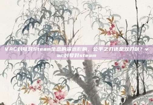 VAC封号对Steam生态的深远影响,公平之刃还是双刃剑?vac封号对steam