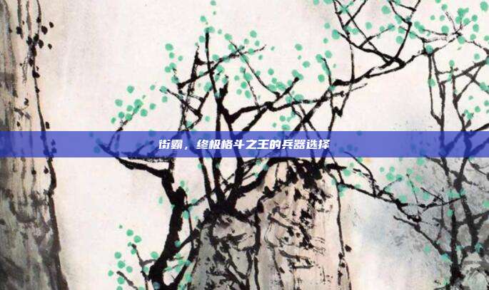 街霸,终极格斗之王的兵器选择