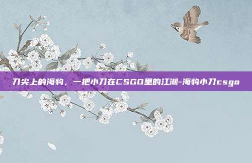 刀尖上的海豹,一把小刀在CSGO里的江湖-海豹小刀csgo