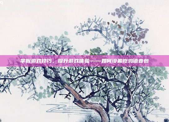 掌握游戏技巧,提升游戏体验——如何设置吃鸡语音包
