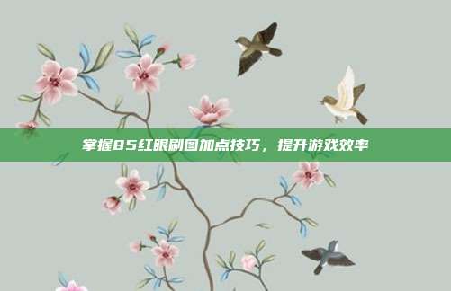 掌握85红眼刷图加点技巧，提升游戏效率