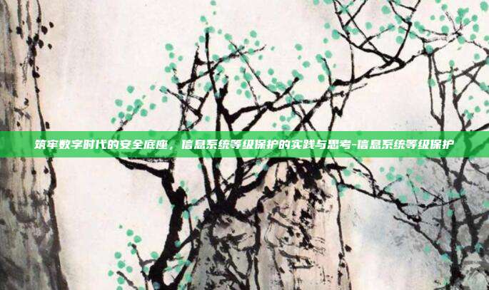 筑牢数字时代的安全底座，信息系统等级保护的实践与思考-信息系统等级保护