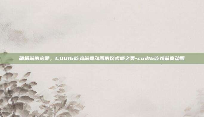 硝烟前的寂静,COD16吃鸡前奏动画的仪式感之美-cod16吃鸡前奏动画