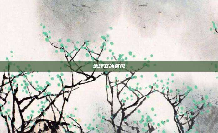 武魂玄冰疾风