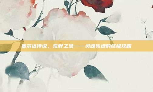 塞尔达传说,荒野之息——灵魂轨迹的终极攻略