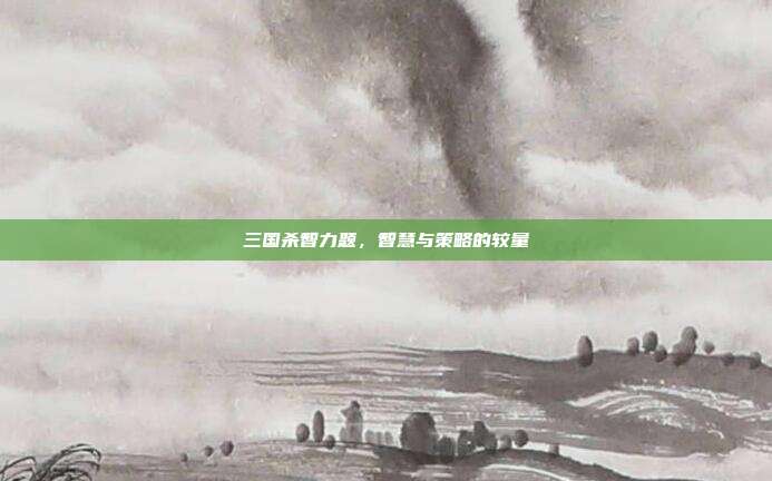 三国杀智力题,智慧与策略的较量