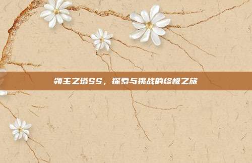 领主之塔SS,探索与挑战的终极之旅