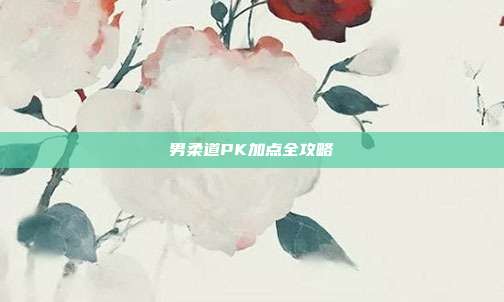 男柔道PK加点全攻略