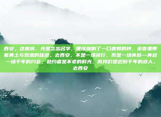 西安,这座城,光是念出名字,便像撞响了一口唐朝的钟,余音里带着黄土与烈酒的味道。去西安,不是一场旅行,而是一场奔赴—奔赴一场千年的约会,赴约者是不老的时光,而我们是迟到千年的故人。去西安