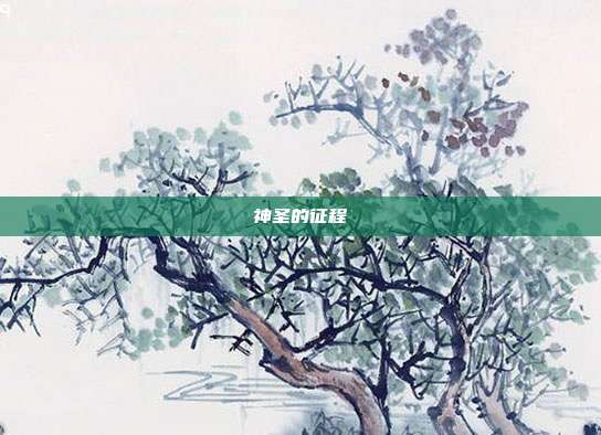 神圣的征程