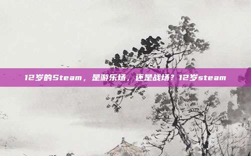 12岁的Steam，是游乐场，还是战场？12岁steam
