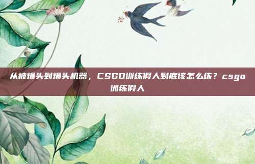 从被爆头到爆头机器，CSGO训练假人到底该怎么练？csgo训练假人