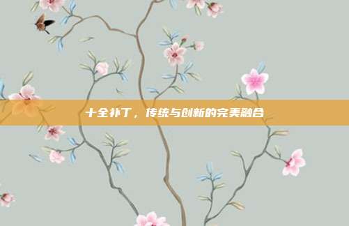 十全补丁,传统与创新的完美融合