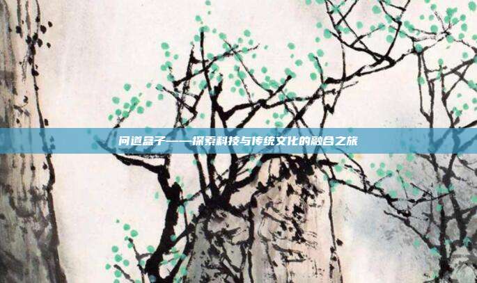 问道盒子——探索科技与传统文化的融合之旅