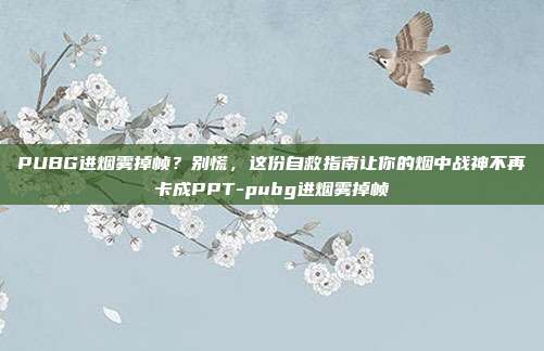 PUBG进烟雾掉帧?别慌,这份自救指南让你的烟中战神不再卡成PPT-pubg进烟雾掉帧