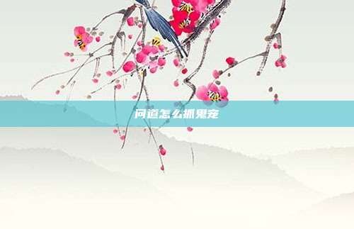 问道怎么抓鬼宠