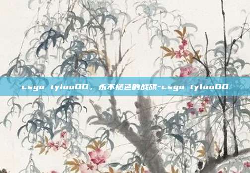 csgo tylooDD，永不褪色的战旗-csgo tylooDD