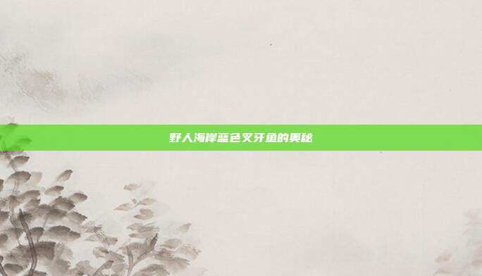 野人海岸蓝色叉牙鱼的奥秘