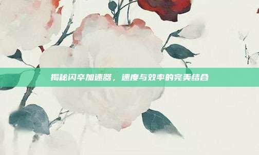 揭秘闪卒加速器，速度与效率的完美结合