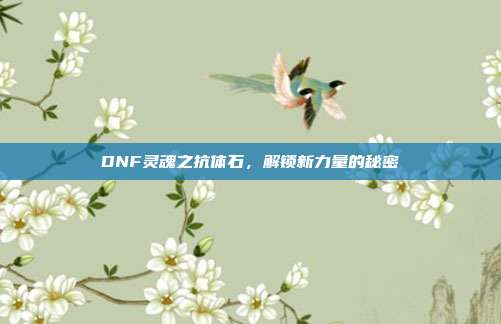 DNF灵魂之抗体石,解锁新力量的秘密