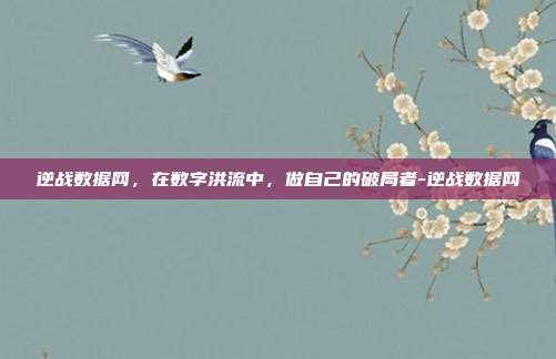 逆战数据网，在数字洪流中，做自己的破局者-逆战数据网