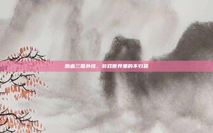 热血三国外挂,游戏世界里的不归路