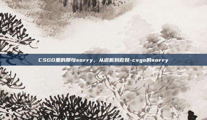 CSGO里的那句sorry，从道歉到救赎-csgo的sorry
