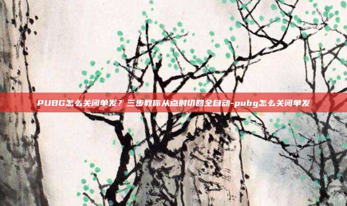 PUBG怎么关闭单发?三步教你从点射切回全自动-pubg怎么关闭单发