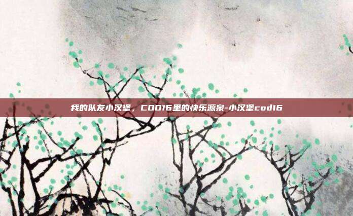 我的队友小汉堡，COD16里的快乐源泉-小汉堡cod16