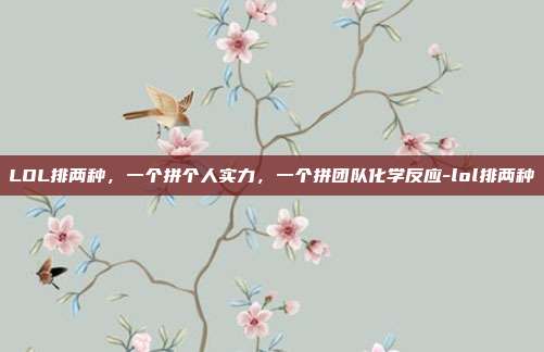LOL排两种，一个拼个人实力，一个拼团队化学反应-lol排两种