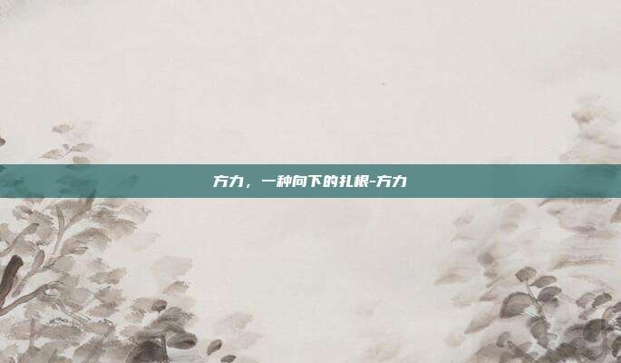 方力，一种向下的扎根-方力