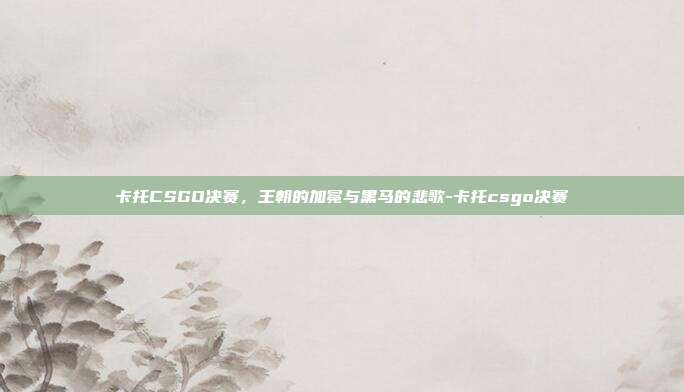 卡托CSGO决赛，王朝的加冕与黑马的悲歌-卡托csgo决赛